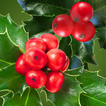 Cargar imagen en el visor de la galería, Christmas Holly