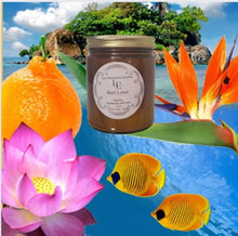 Cargar imagen en el visor de la galería, Reef Lover ( Premium)