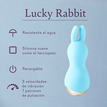 Cargar imagen en el visor de la galería, Lucky Rabbit