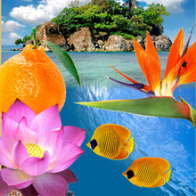 Cargar imagen en el visor de la galería, Reef Lover ( Premium)
