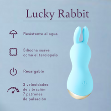 Cargar imagen en el visor de la galería, Lucky Rabbit
